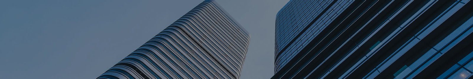 Sales Network - newstart